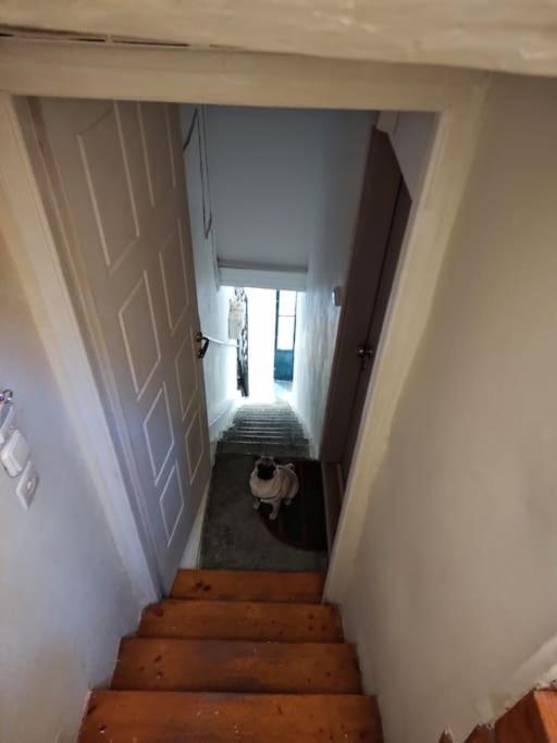 Mary'S Bright Apartment - Corfu Old Town Экстерьер фото